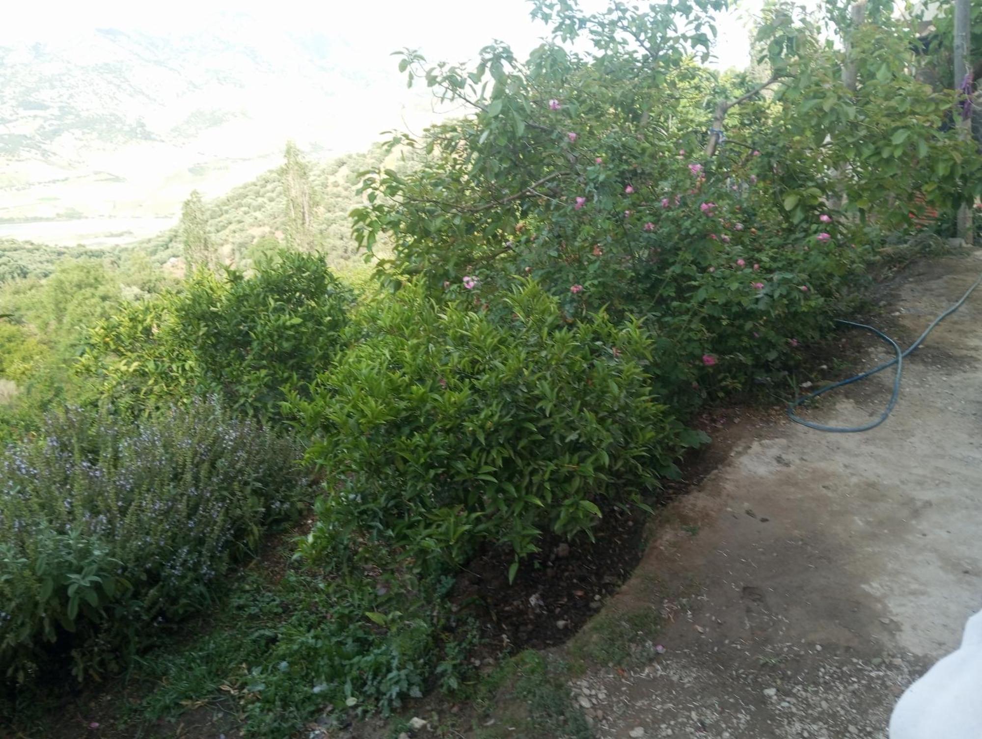 Dar Lala Zhour Apartment Douar Ain Bouchrik ภายนอก รูปภาพ